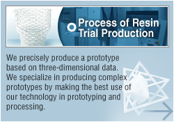 Process of Resin Trial Production