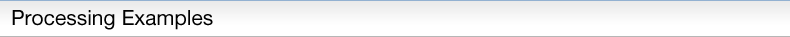 Processing Examples
